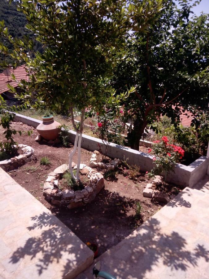 Dimitra'S Garden Villa Kallirakhi Bagian luar foto