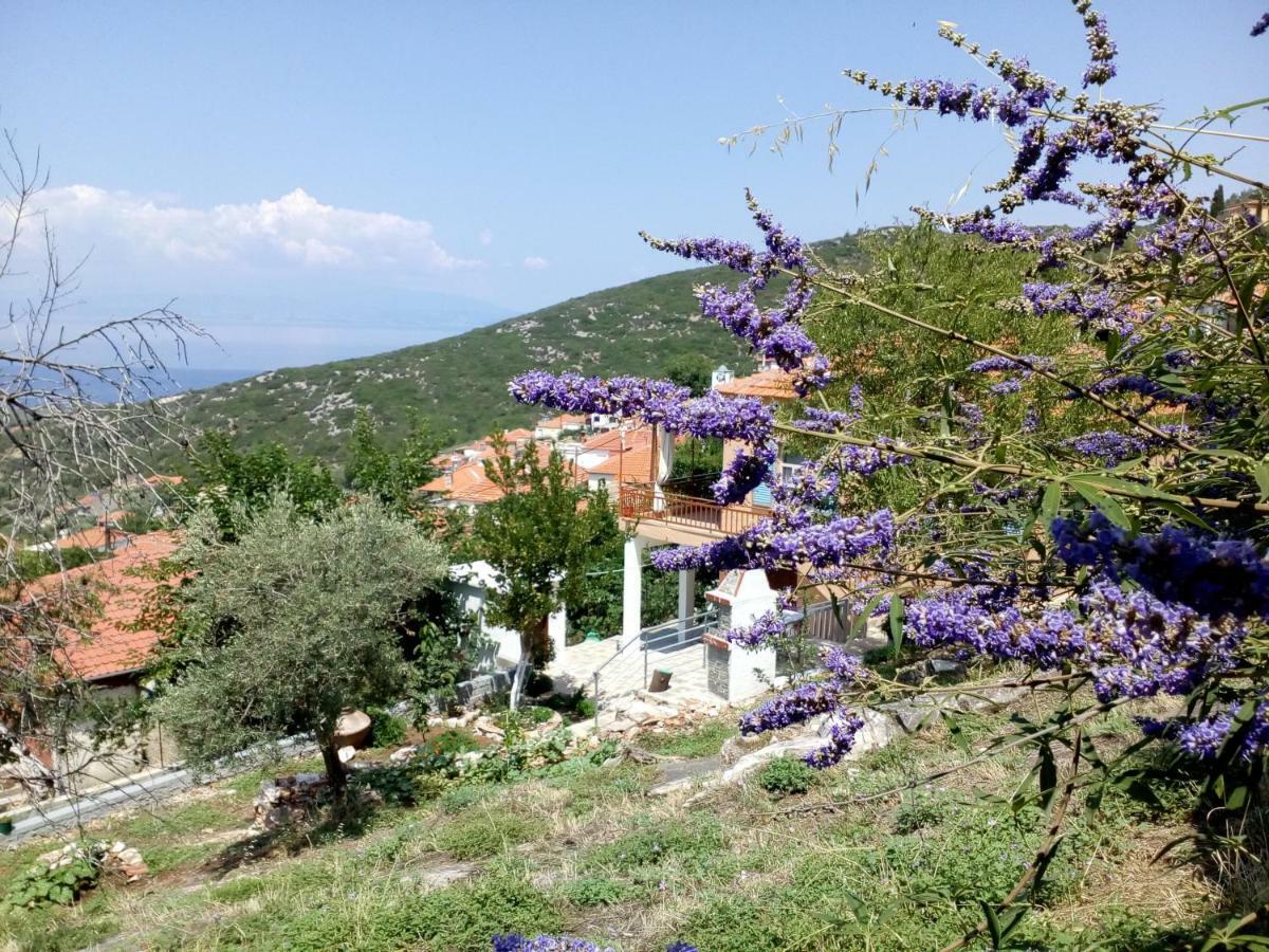 Dimitra'S Garden Villa Kallirakhi Bagian luar foto
