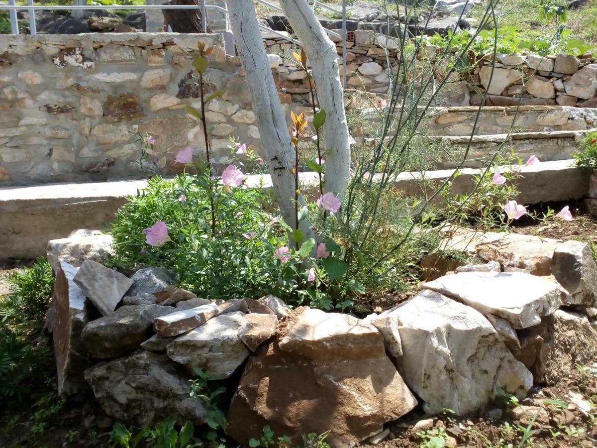 Dimitra'S Garden Villa Kallirakhi Bagian luar foto